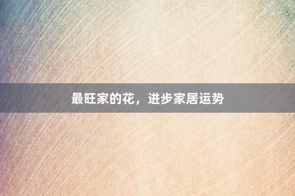 最旺家的花，进步家居运势