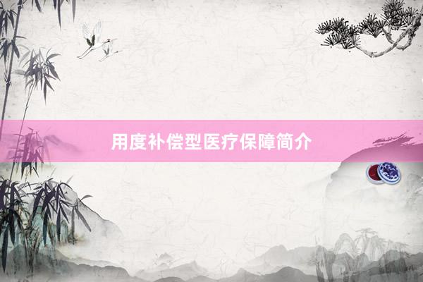 用度补偿型医疗保障简介