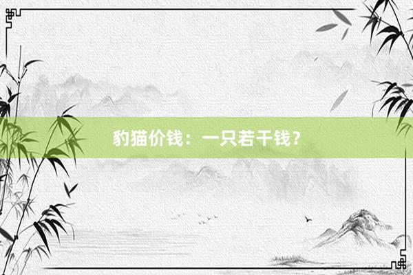 豹猫价钱:一只若干钱?