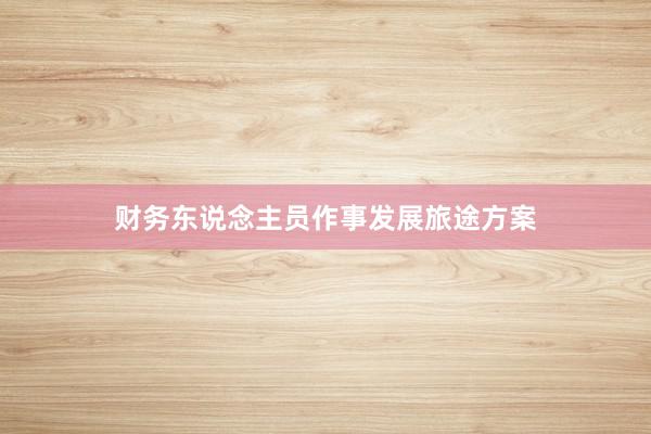 财务东说念主员作事发展旅途方案